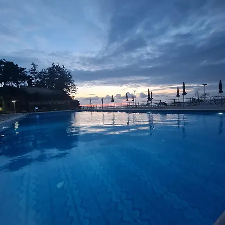 Happy Blue 1 Vlore