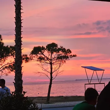 Happy Blue 1 Vlore
