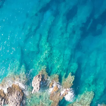 Happy Blue 1 Vlore