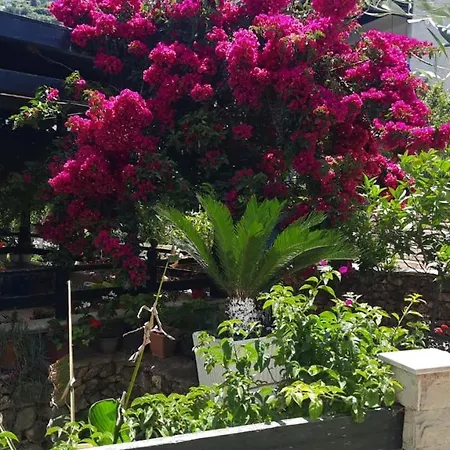 Happy Blue 1 Apartamento