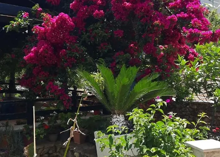 Happy Blue 1 Appartement